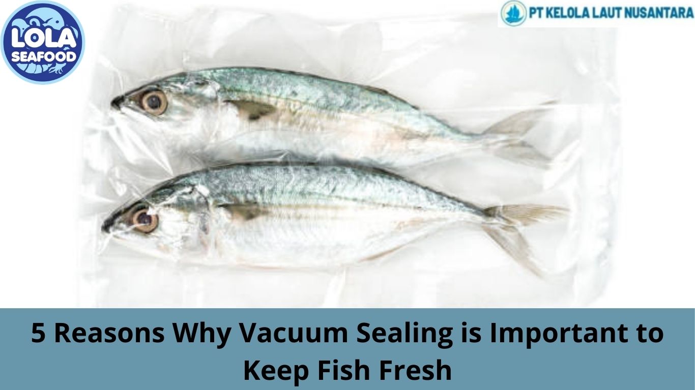 5 Reasons Why Vacuum Sealing is Important to Keep Fish Fresh